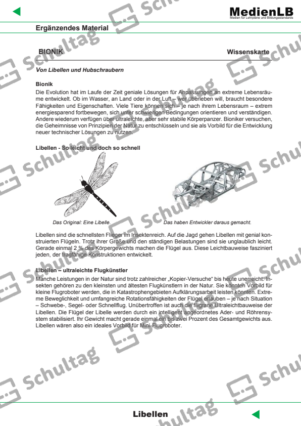 10 Beispiele Für Bionik