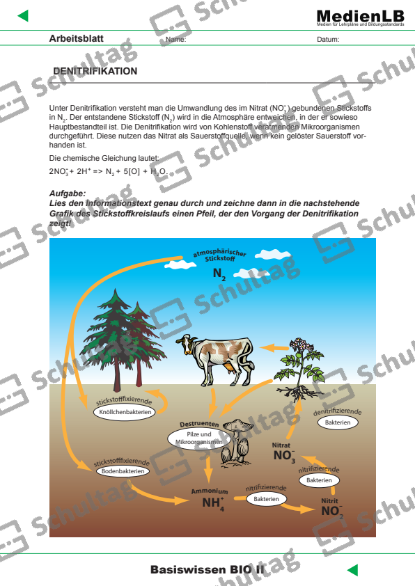 CO2 UND WASSER EXPERIMENT Schultag