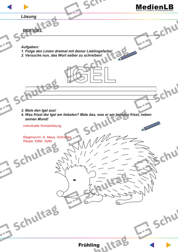 DER IGEL – Schultag
