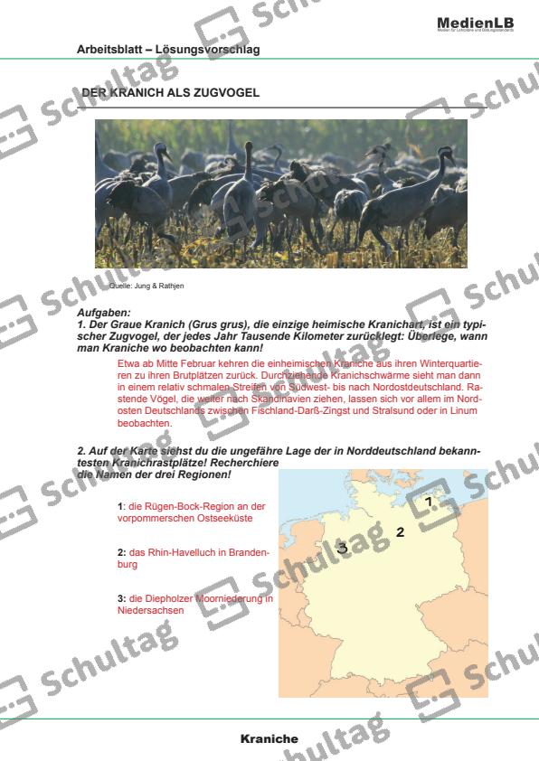 Der Koch Und Der Kranich Inhaltsangabe DER KRANICH ALS ZUGVOGEL – Schultag