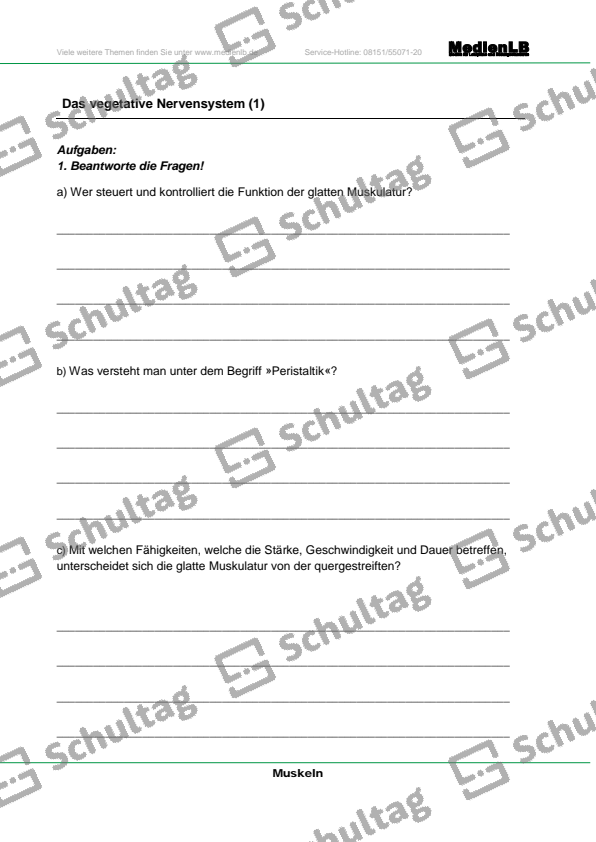 Das vegetative Nervensystem – Schultag