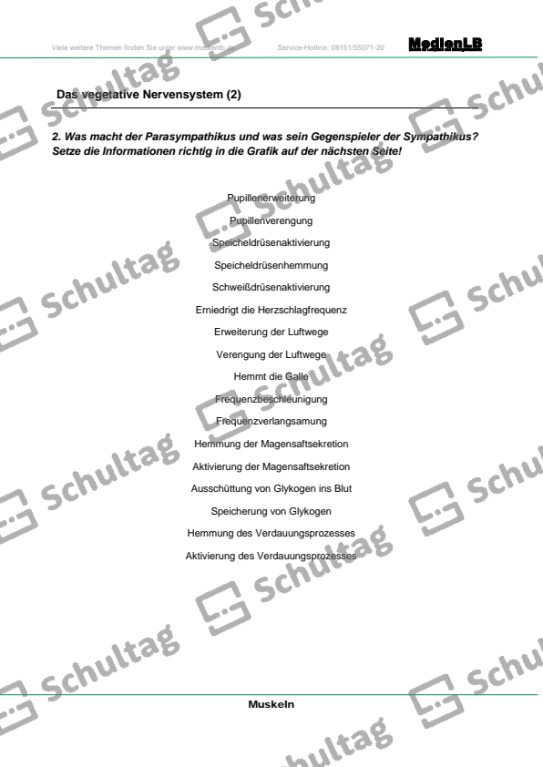 Das vegetative Nervensystem – Schultag