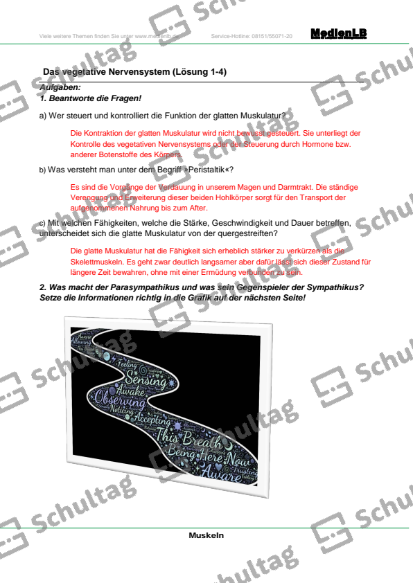 Das vegetative Nervensystem – Schultag