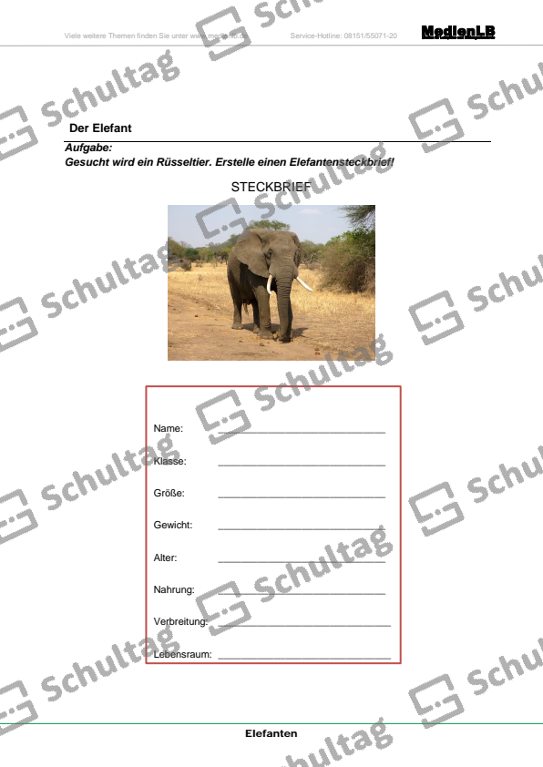 elefanten-sammlung-schultag