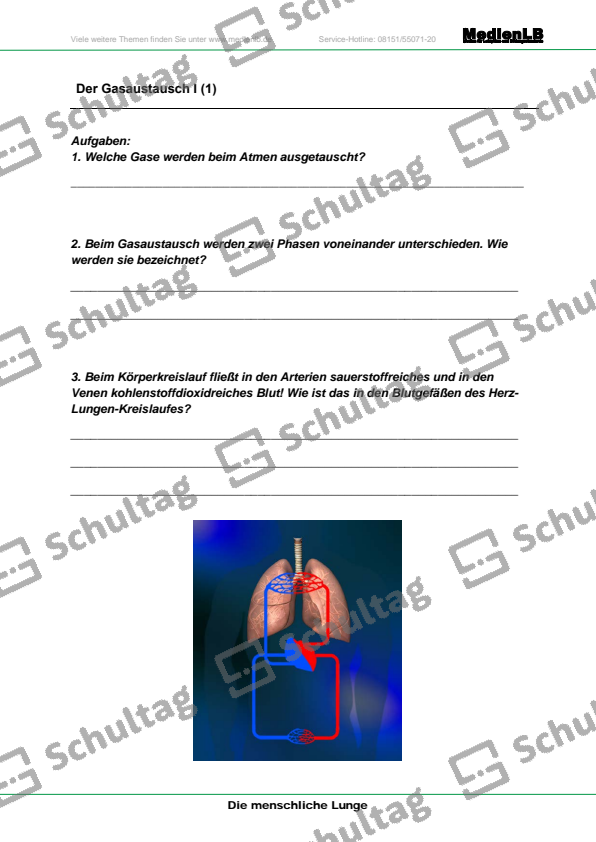 Der Gasaustausch I – Schultag