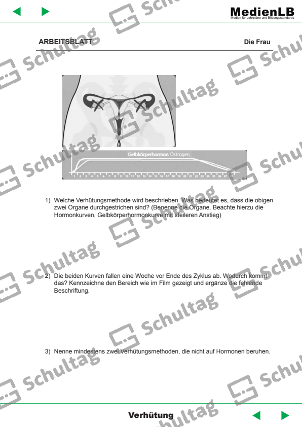 Der Zyklus der Frau II – Schultag