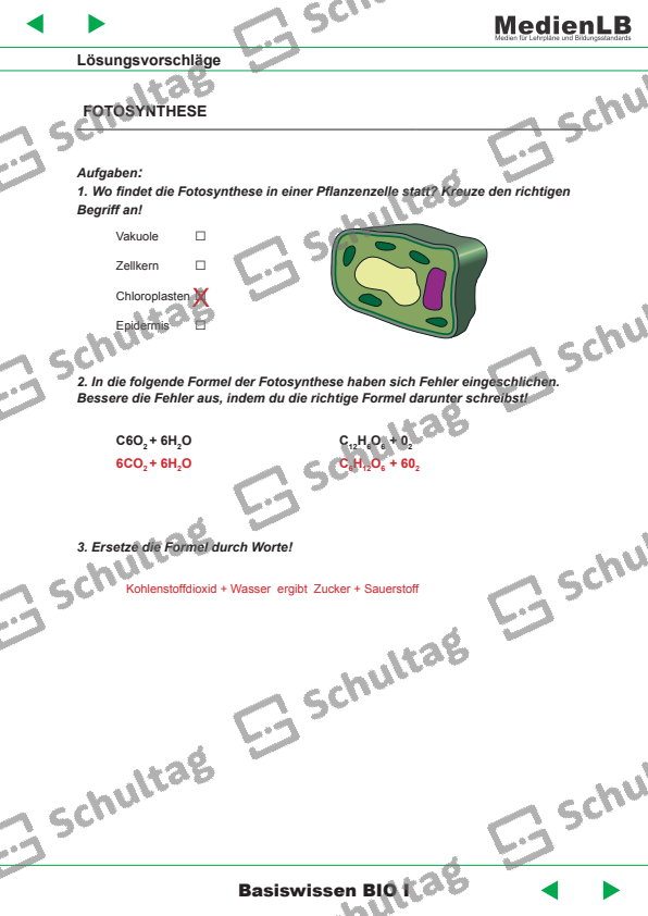 Fotosynthese Und Zellatmung Arbeitsblatt Lösungen FOTOSYNTHESE – Schultag
