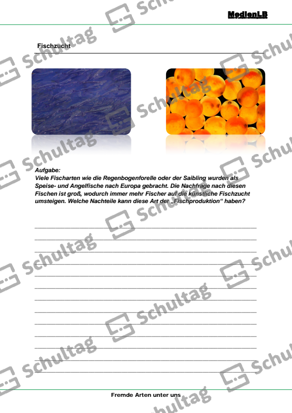 Invasive Arten Schultag