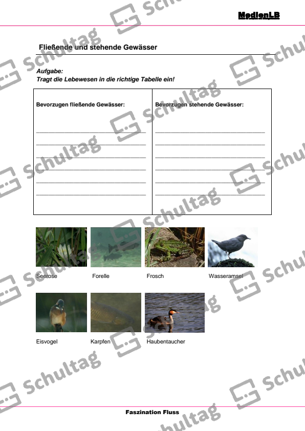 Tierarten an Gewässern Schultag