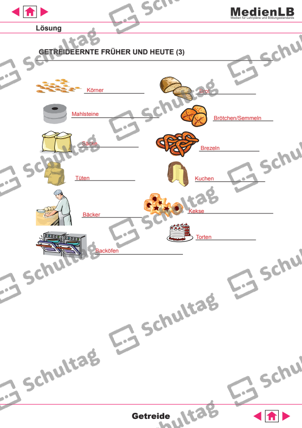 Getreideernte Früher Und Heute Grundschule GETREIDEERNTE FRÜHER UND HEUTE – Schultag