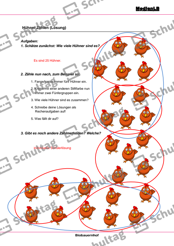 Hühner Zählen – Schultag