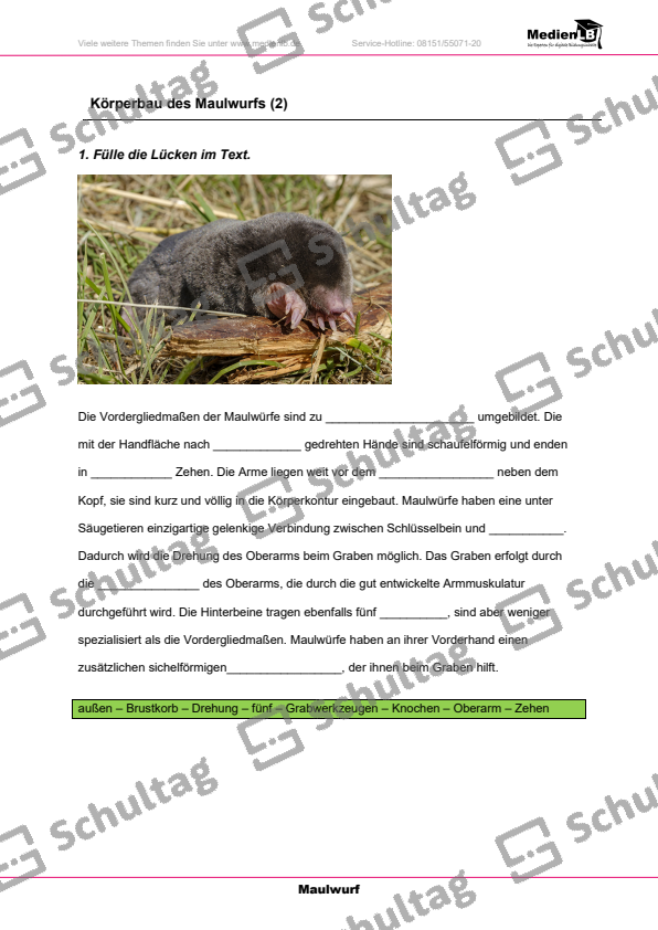 Körperbau des Maulwurfs – Schultag