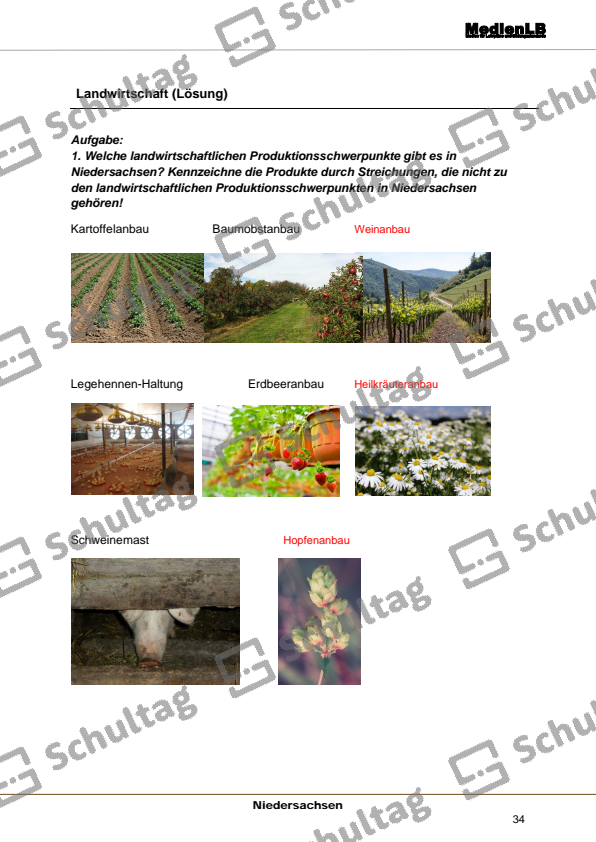 Landwirtschaft – Schultag