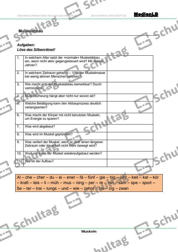 Aufgabe der Muskeln – Schultag