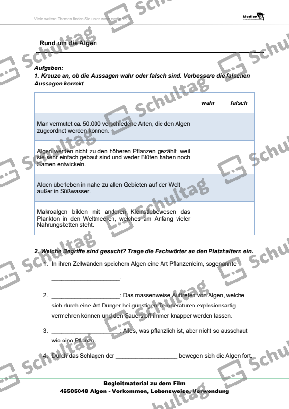 Algen Unterscheiden Schultag