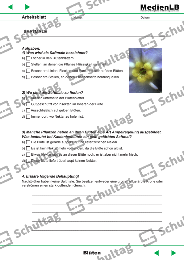 AUFBAU DER BLTE Schultag