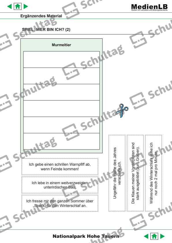 SPIEL WER BIN ICH – Schultag