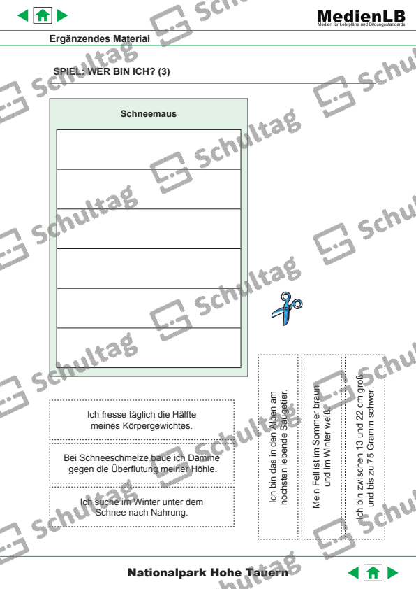 SPIEL WER BIN ICH – Schultag