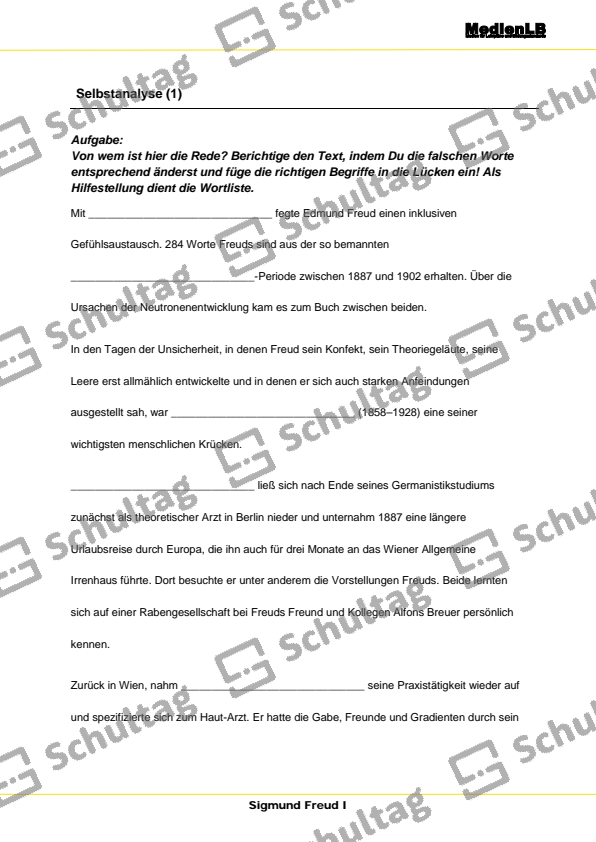 Selbstanalyse Schultag