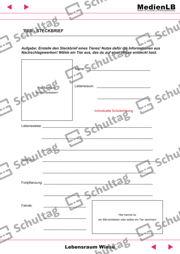 TIER – STECKBRIEF – Schultag