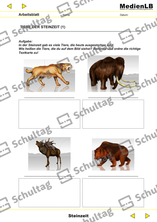STEINZEITRÄTSEL – Schultag