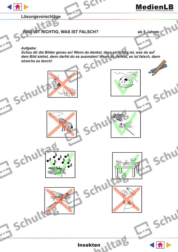 Was Ist Richtig Was Ist Falsch WAS IST RICHTIG, WAS IST FALSCH – Schultag