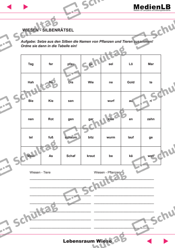 WIESEN KREUZWORTRÄTSEL Schultag