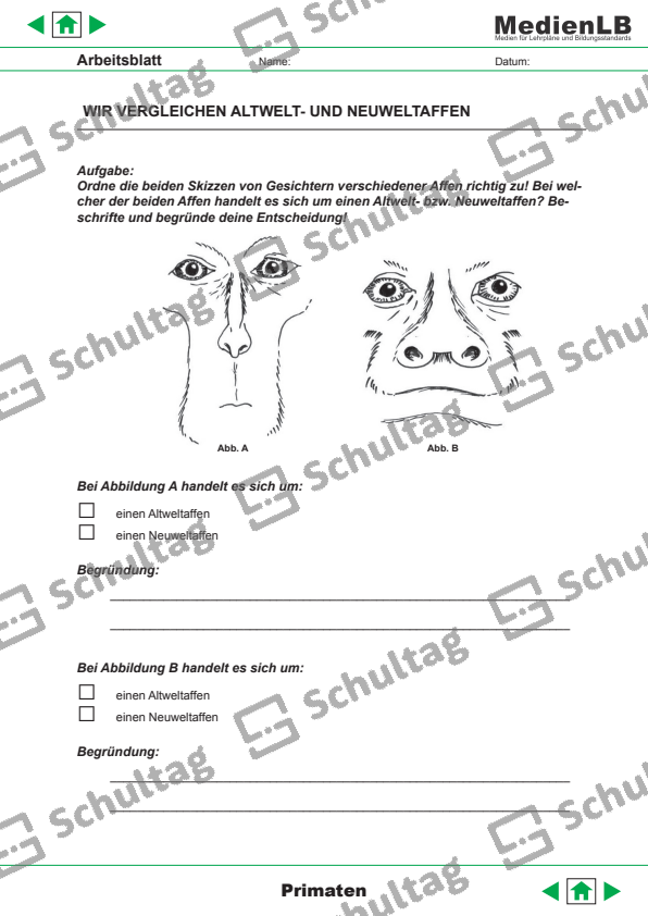 RTSEL Schultag