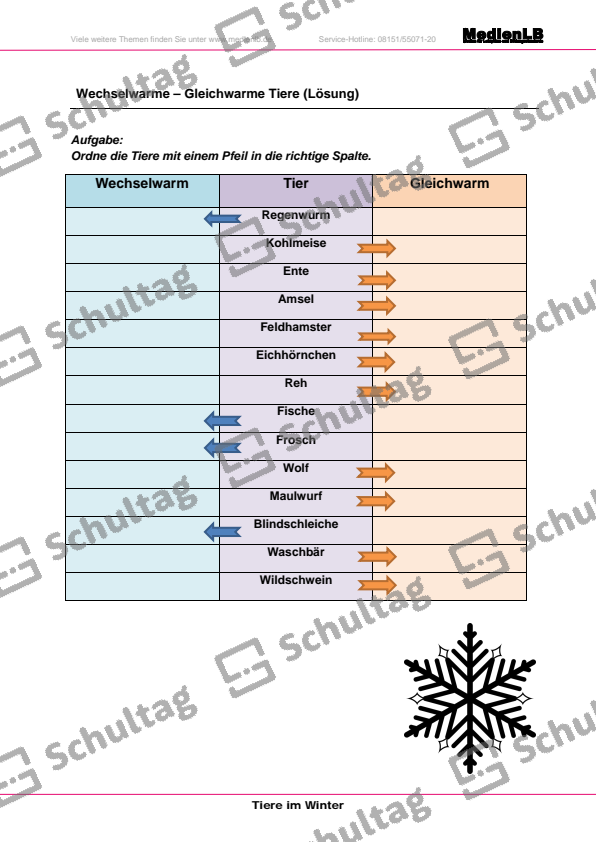 Gleichwarme Und Wechselwarme Tiere Arbeitsblatt
