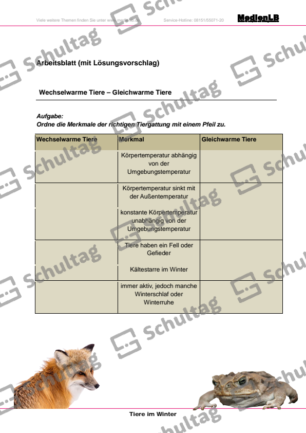 Gleichwarme Und Wechselwarme Tiere Arbeitsblatt Wasservögel – Schultag