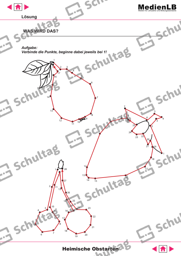Welche Frucht ist das – Schultag