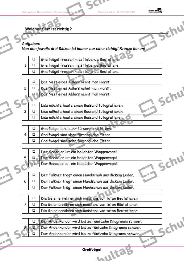 Welcher Satz ist richtig Schultag