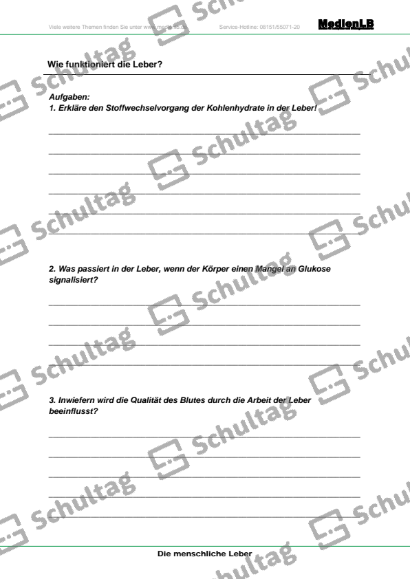 Wie funktioniert die Leber II - Schultag